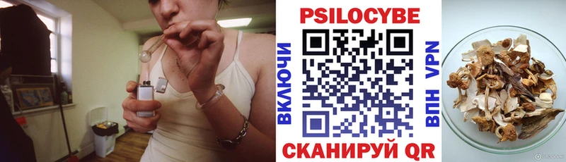 Псилоцибиновые грибы мухоморы  блэк спрут зеркало  Волгодонск 